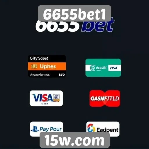 Métodos de pagamento oferecidos pelo 6655bet1
